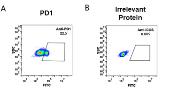 Anti-PD-1 (pembrolizumab biosimilar) mAb