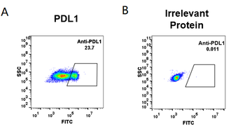 Anti-PDL1 (atezolizumab biosimilar) mAb