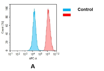 Anti-B7-H3 (enoblituzumab biosimilar) mAb