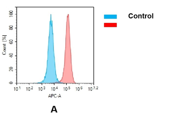 Anti-CD33 (gemtuzumab biosimilar) mAb