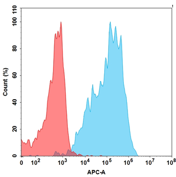 Anti-BCMA (biosimilar) mAb