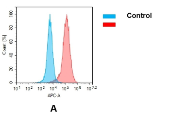 Anti-CD30 (brentuximab biosimilar) mAb