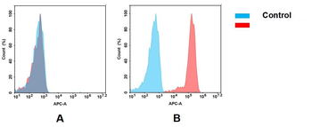Anti-Trop2 (sacituzumab biosimilar) mAb
