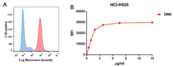 Anti-BCMA antibody(DM4); Rabbit mAb
