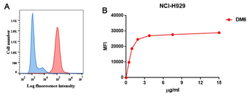 Anti-BCMA antibody(DM6); Rabbit mAb