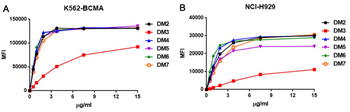 Anti-BCMA antibody(DM6); Rabbit mAb