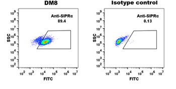 SIRPa Antibody