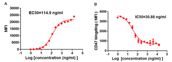 SIRPa Antibody
