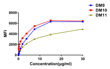 Anti-CS1 antibody(DM9); Rabbit mAb