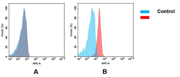Anti-CS1 antibody(DM9); Rabbit mAb