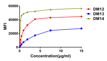 Anti-CD22 antibody(DM13); Rabbit mAb