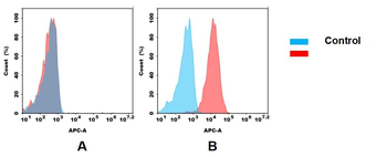 Anti-CD22 antibody(DM13); Rabbit mAb
