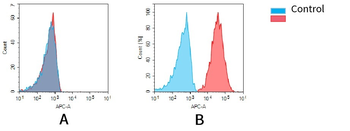 Anti-CD38 antibody(DM28); Rabbit mAb