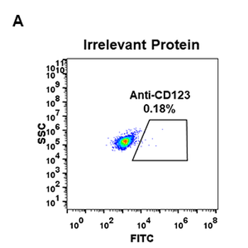 CD123 Antibody