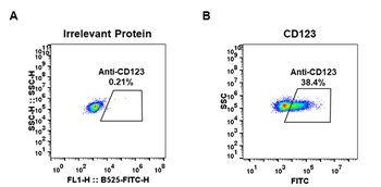 CD123 Antibody