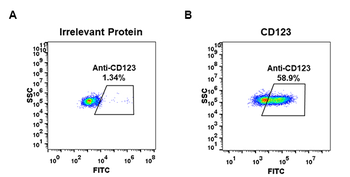 CD123 Antibody
