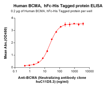 Human BCMA Protein, hFc-His Tag