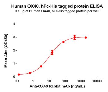 Human FLT3 Ligand Protein, mFc-His Tag