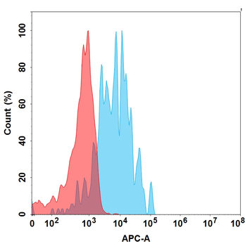 Human BCMA Protein, mFc Tag