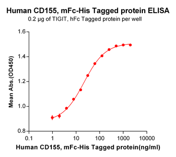 Human CD19 Protein, hFc-His tag