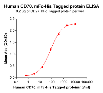 Human GPRC5D Protein, hFc-His Tag