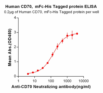 Human GPRC5D Protein, hFc-His Tag