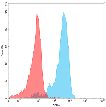 Human GPRC5D Protein, hFc-His Tag