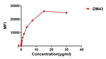 Anti-CD48 antibody(DM43); Rabbit mAb