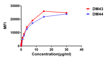 Anti-CD48 antibody(DM43); Rabbit mAb