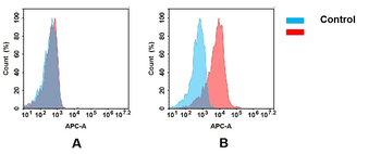 Anti-CD48 antibody(DM43); Rabbit mAb