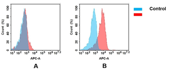 Anti-CD48 antibody(DM44), Rabbit mAb