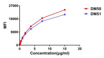 Anti-CTLA-4 antibody(DM50); Rabbit mAb