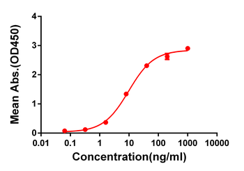 CTLA-4 Antibody