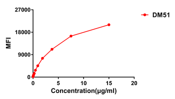 CTLA-4 Antibody