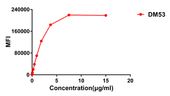 B7-H3 Antibody