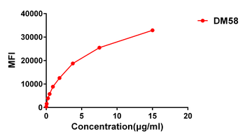Anti-CD27 antibody(DM58); Rabbit mAb