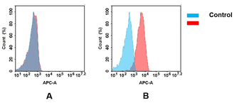 Anti-CD27 antibody(DM58); Rabbit mAb