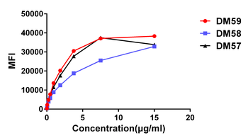 Anti-CD27 antibody(DM59), Rabbit mAb