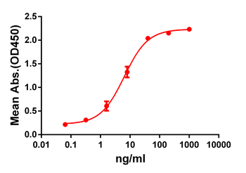 GPRC5D Antibody