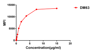 Anti-CD28 antibody(DM63); Rabbit mAb
