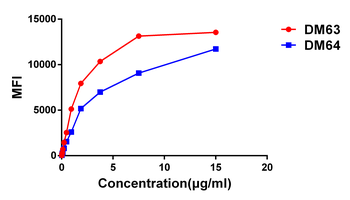 Anti-CD28 antibody(DM63); Rabbit mAb