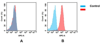 Anti-CD28 antibody(DM63); Rabbit mAb