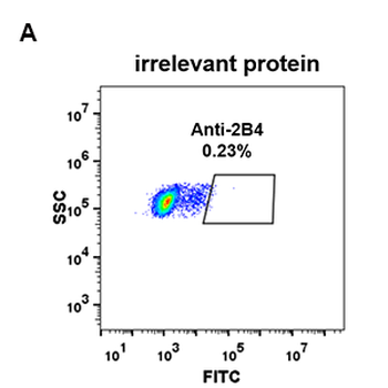 Anti-2B4 antibody(DM70); Rabbit mAb
