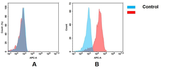 Anti-mesothelin antibody(DM71), Rabbit mAb