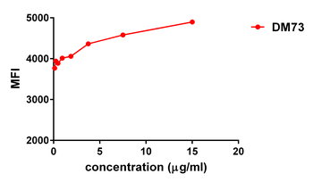 Anti-mesothelin antibody(DM73), Rabbit mAb