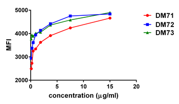 Anti-mesothelin antibody(DM73), Rabbit mAb