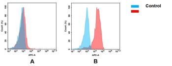 Anti-mesothelin antibody(DM73), Rabbit mAb