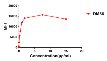 Anti-4-1BB antibody(DM66); Rabbit mAb