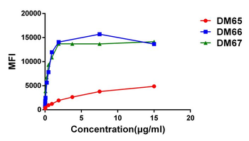 Anti-4-1BB antibody(DM66); Rabbit mAb