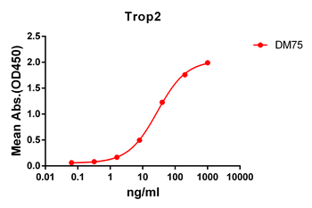 Trop2 Antibody